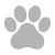 scndnv_lion
