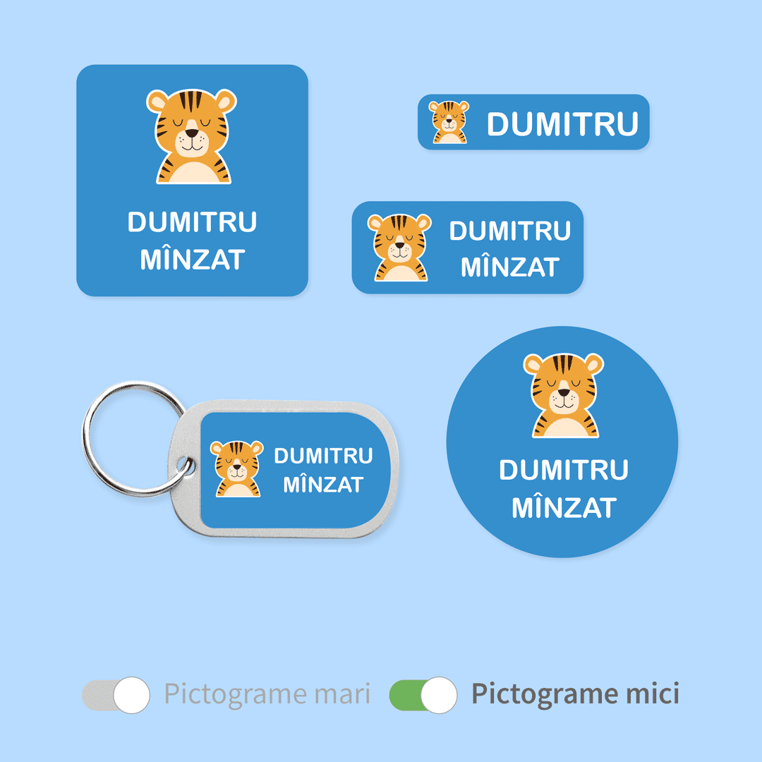 Large icons VS Small icons