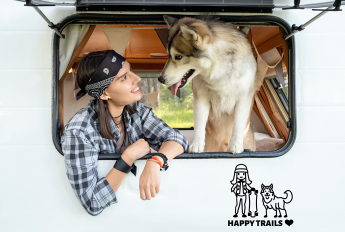 pegatinas para la caravana