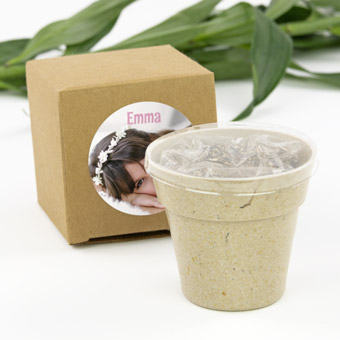 Gift Flower Pots Kit with Seeds