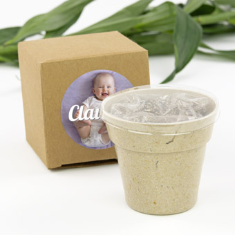 Macetas con semillas para regalar