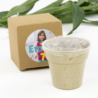 Gift Flower Pots Kit with Seeds