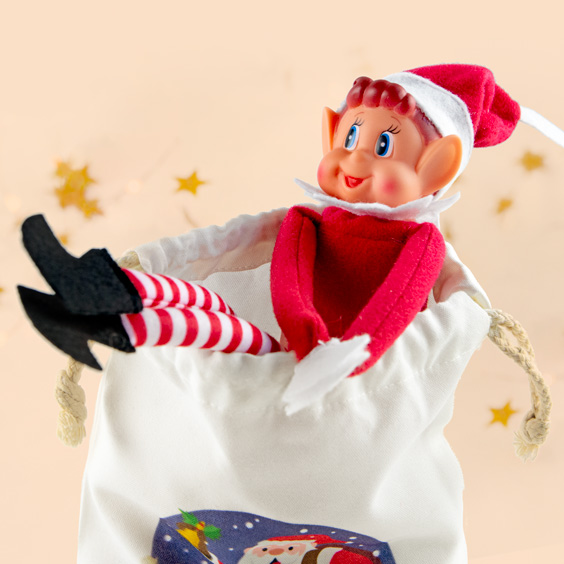 Playful Male Christmas Elf