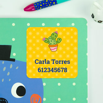 Etiquetas Adhesivas Grandes Cuadradas