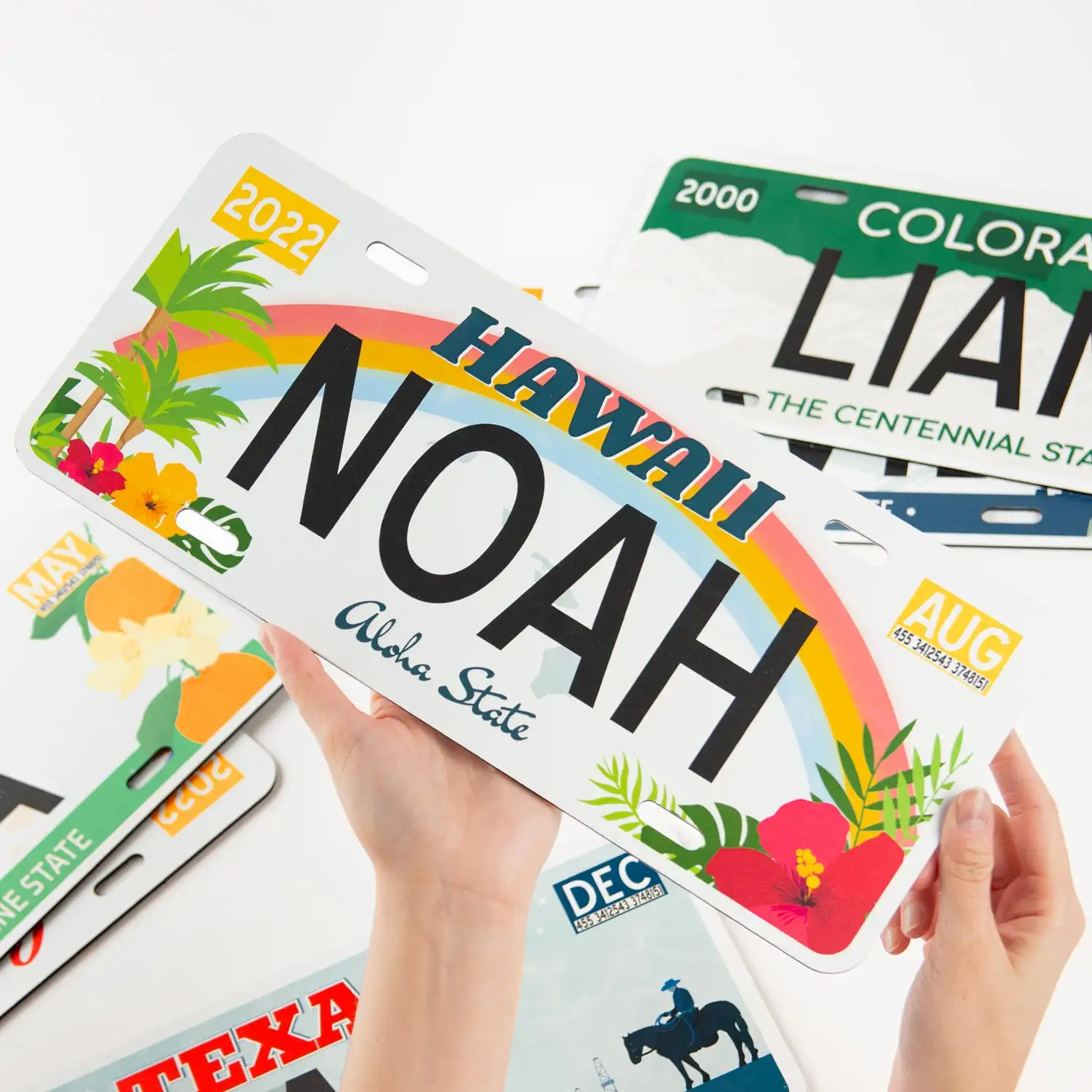 Matrícula personalizada con nombre Matrícula personalizada con nombre