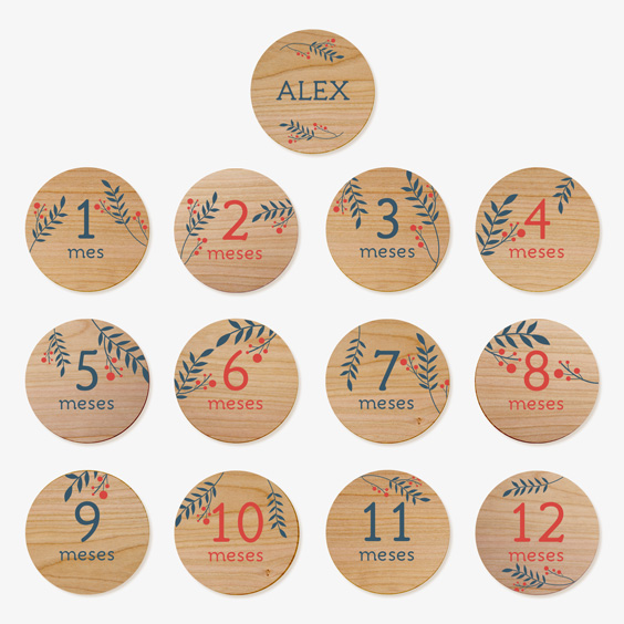 Customized Wooden Baby Month Signs