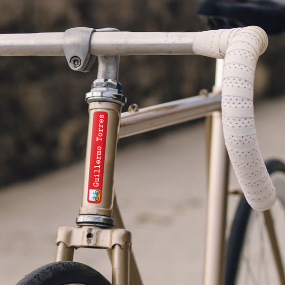Bike name stickers for adults