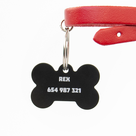 Tag for Dog or Cat