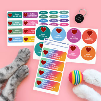 Animais de estimação