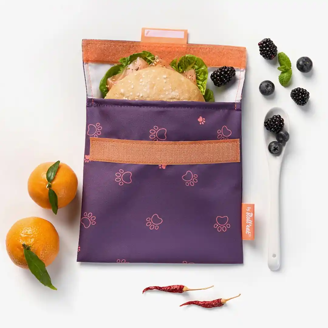 Dinosaur Reusable Snack Bag