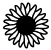 BW_sunflower