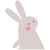 VXLS_290335_rabbit