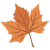 autumnLeaf2