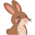 brown_rabbit
