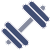 dumbells