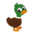 Full_Bird_Duck