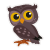 Full_Bird_Owl
