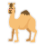 full_camel