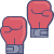 iOP_boxing