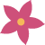 iOP_flower_bd_red