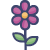 iOP_flower_clss_pink