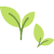 iOP_leaf_3