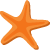 iOP_starfish