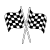 race_flags