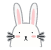 scndnv_rabbit
