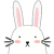 scndnv_rabbit