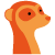 suricata